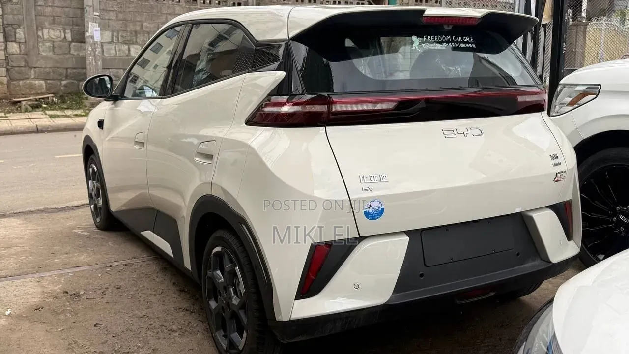 BYD Seagull 2025 White