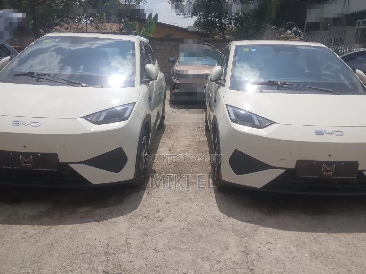 BYD Seagull 2025 White