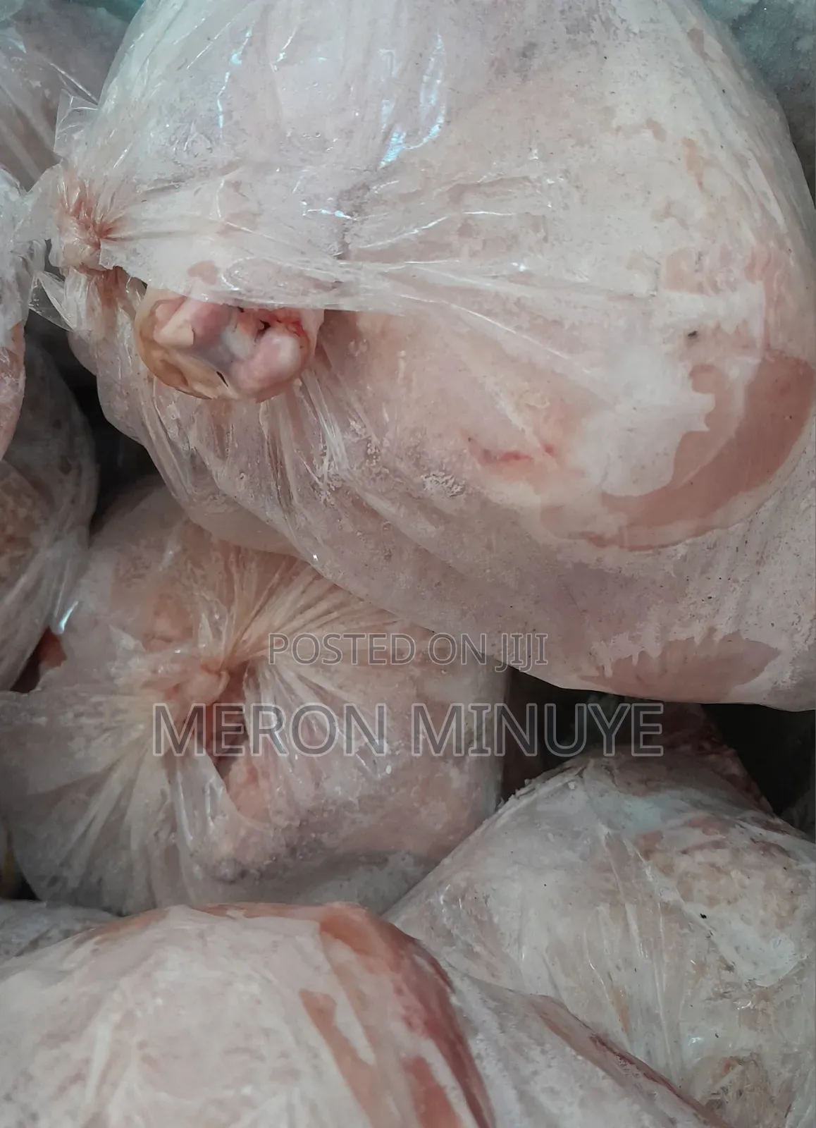 Fresh Chicken Led