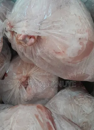Fresh Chicken Led