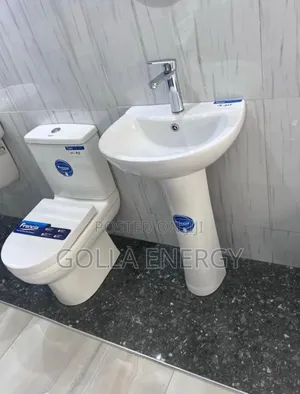 Golden Dragon Toilet and Sink