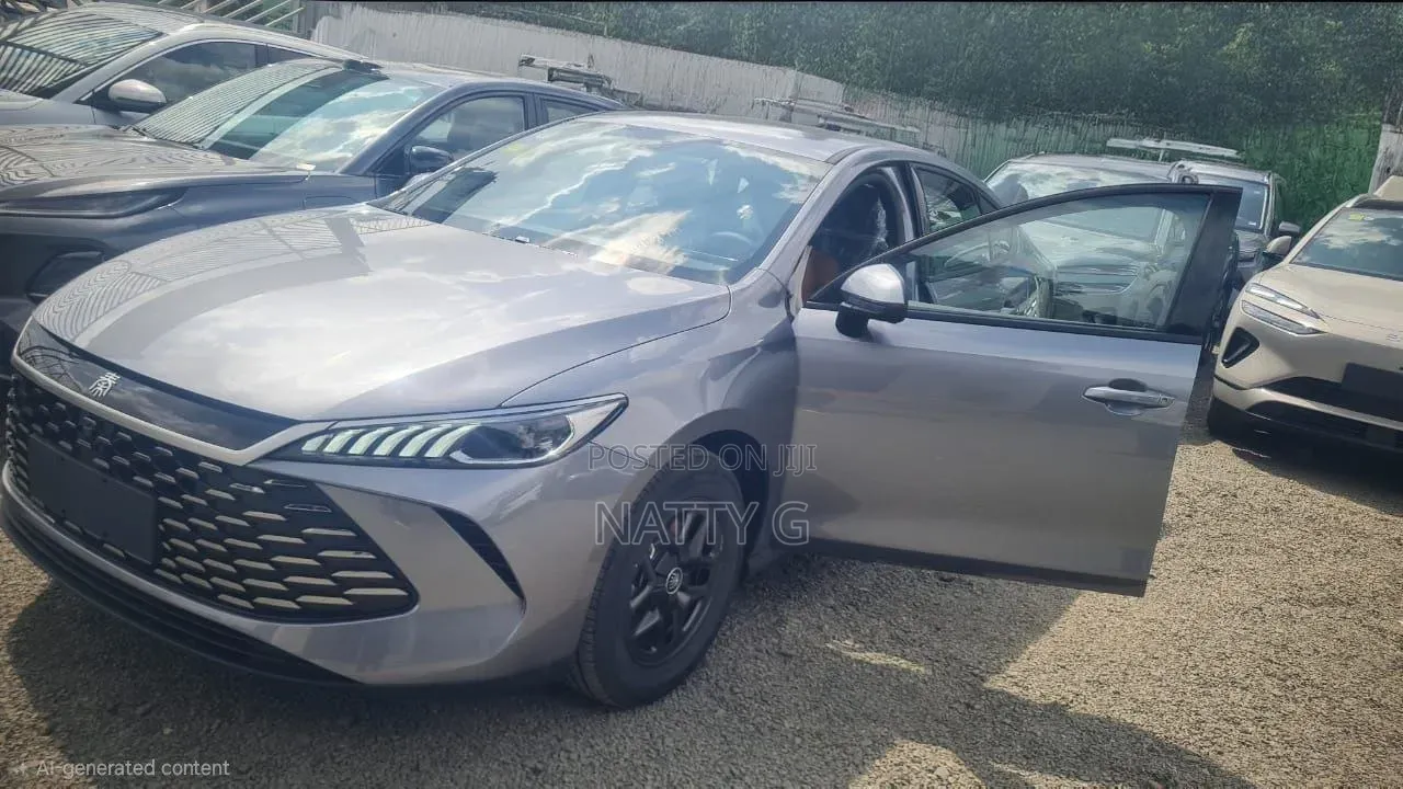 New BYD Qin Plus DM-i 2025 Gray