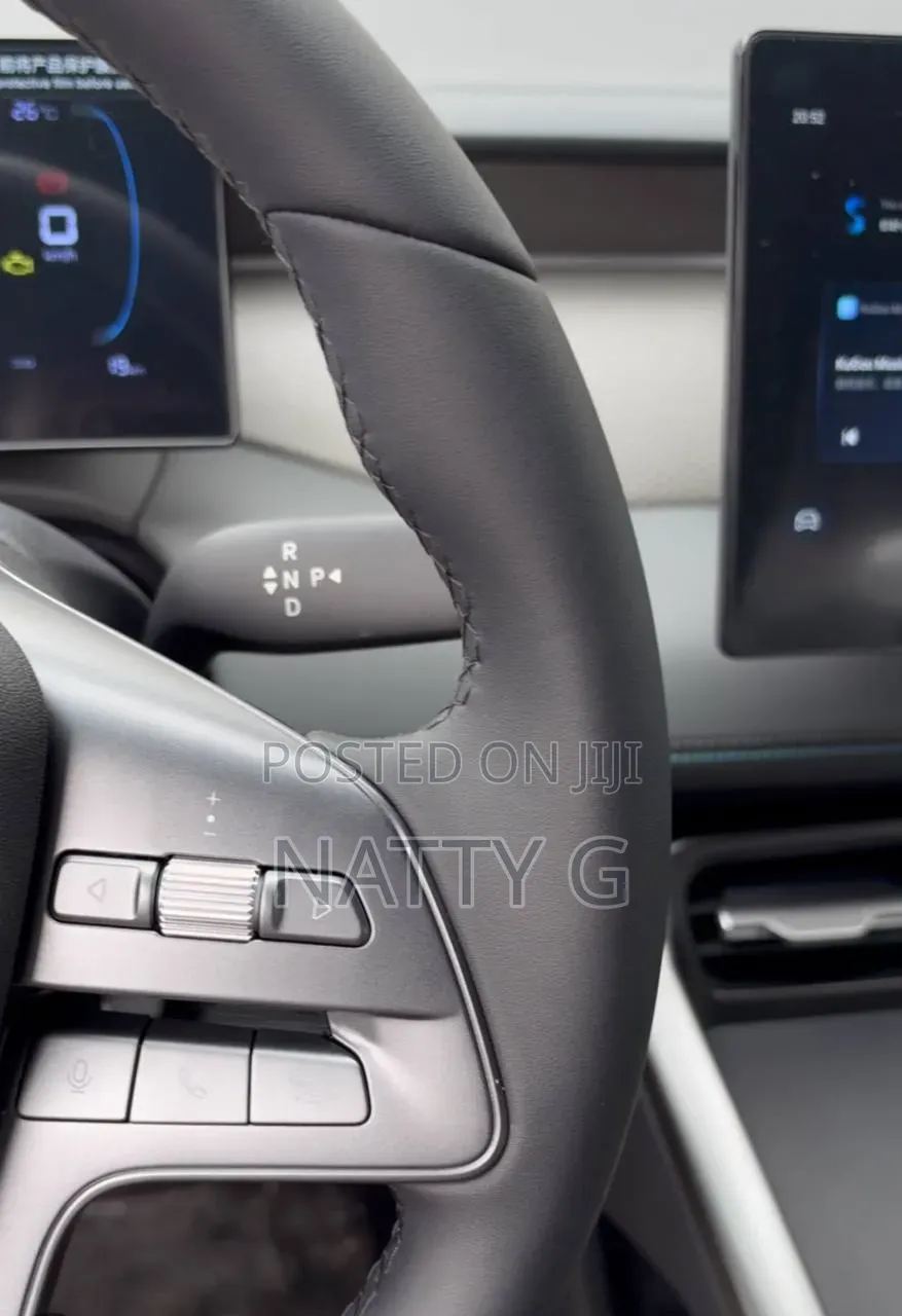 New BYD Qin Plus DM-i 2025 Gray