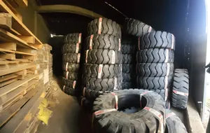 Double Coin Tyre