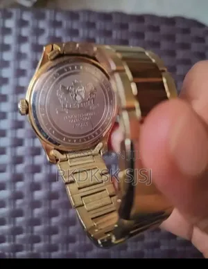 የወንዶች ሰዓት Festina Brand Watch
