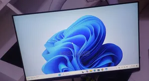 Dell 24 Inch Frameless Monitor