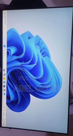 Dell 24 Inch Frameless Monitor