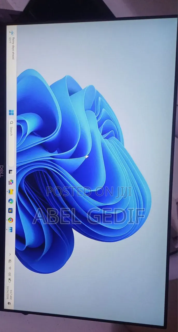 Dell 24 Inch Frameless Monitor