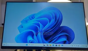 Dell 24 Inch Frameless Monitor