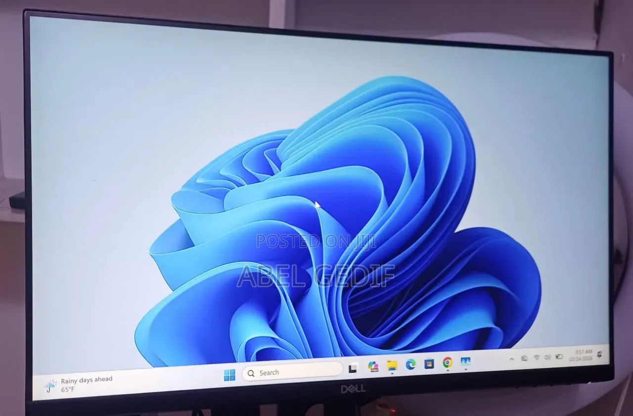 Dell 24 Inch Frameless Monitor