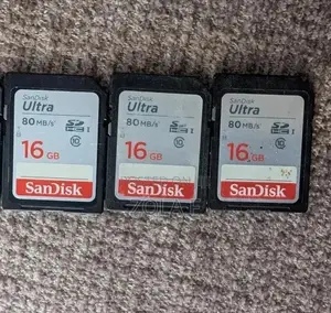 16 GB SanDisk Camera Memory