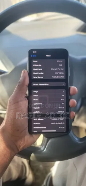 Apple iPhone 11 Pro Max 256 GB Gray