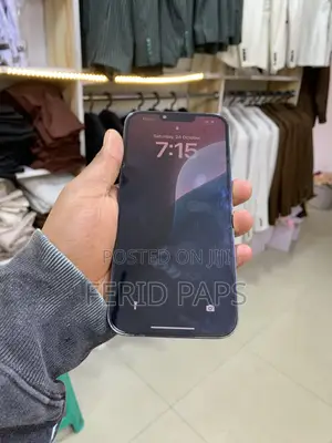 Apple iPhone 13 Pro Max 256 GB Blue