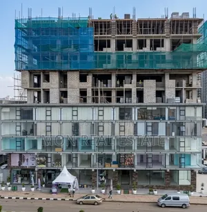 የንግድ ሱቅ እና መኖሪያ ቤቶች (Commercial Property in Mon Real Estate Site)