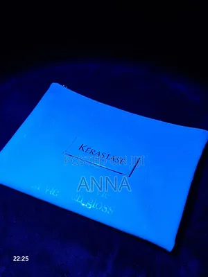 l'Oréal Makup Bags