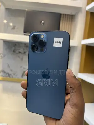 Apple iPhone 12 Pro Max 256 GB Blue