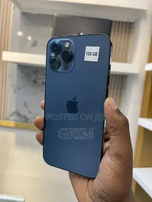 Apple iPhone 12 Pro Max 256 GB Blue