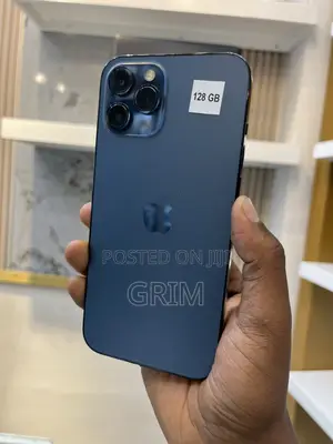 Apple iPhone 12 Pro Max 256 GB Blue