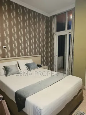 Furnished 1bdrm Apartment in Bole for rent