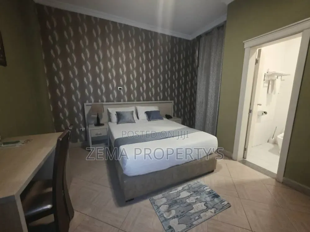 Furnished 1bdrm Apartment in Bole for rent