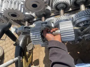 ጽድት ያሉ ዳምፔሎች
