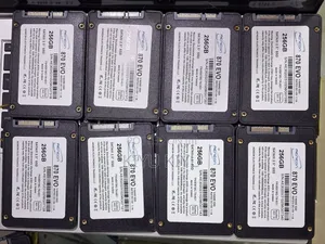 256 SSD Sata Type