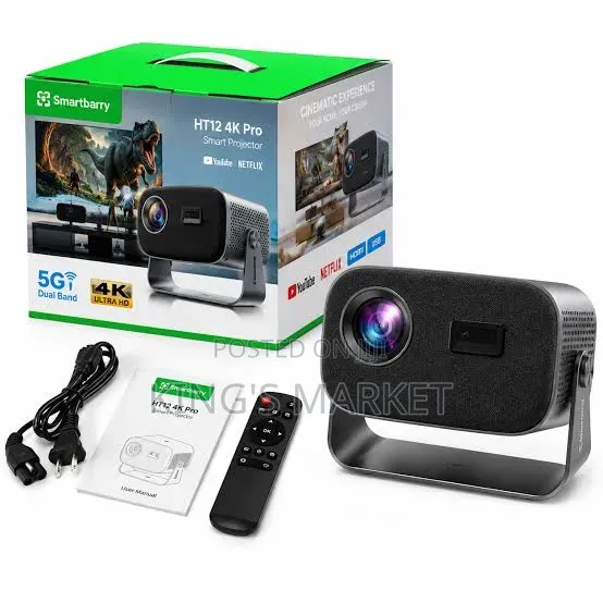 Smart Berry Projector