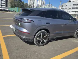 BYD Sealion 06 EV 2025 Gray