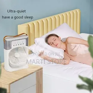 Duel Use Air Cooler Fan and Humidifier