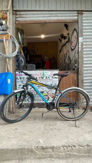 Phoenix Bike