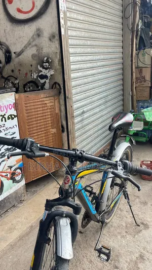 Phoenix Bike