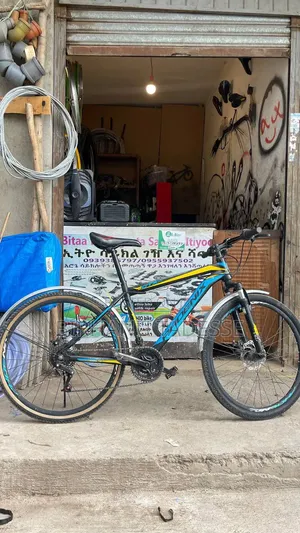 Phoenix Bike