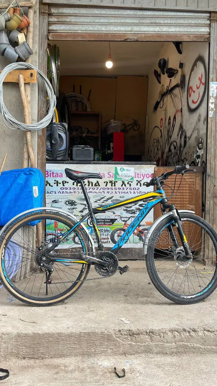Phoenix Bike