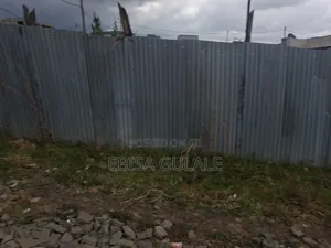 Konto Bota