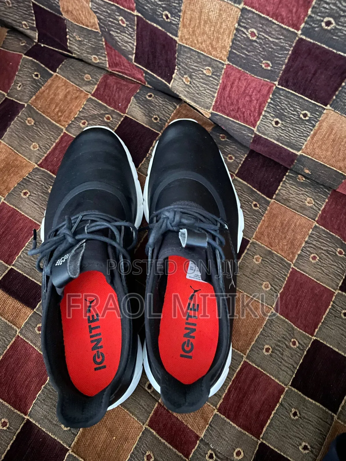 Puma Lgnite