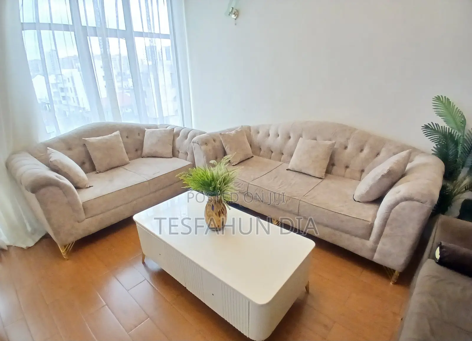 Modern Sofa