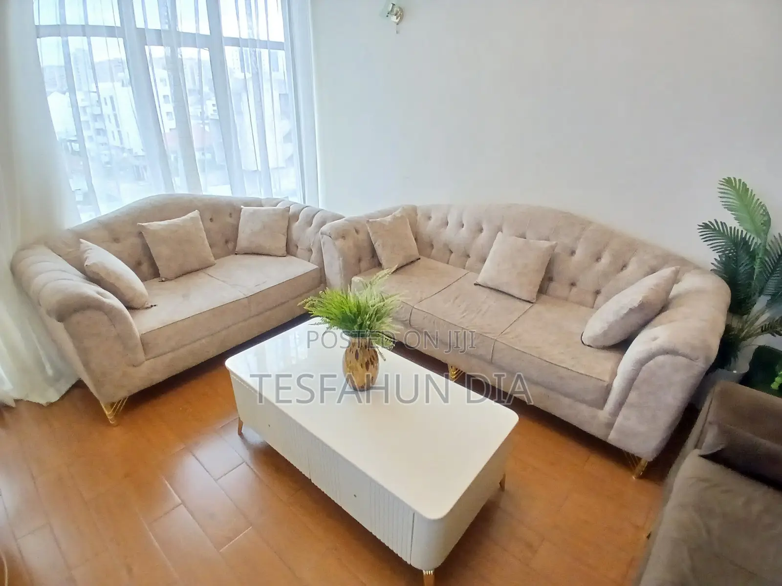 Modern Sofa
