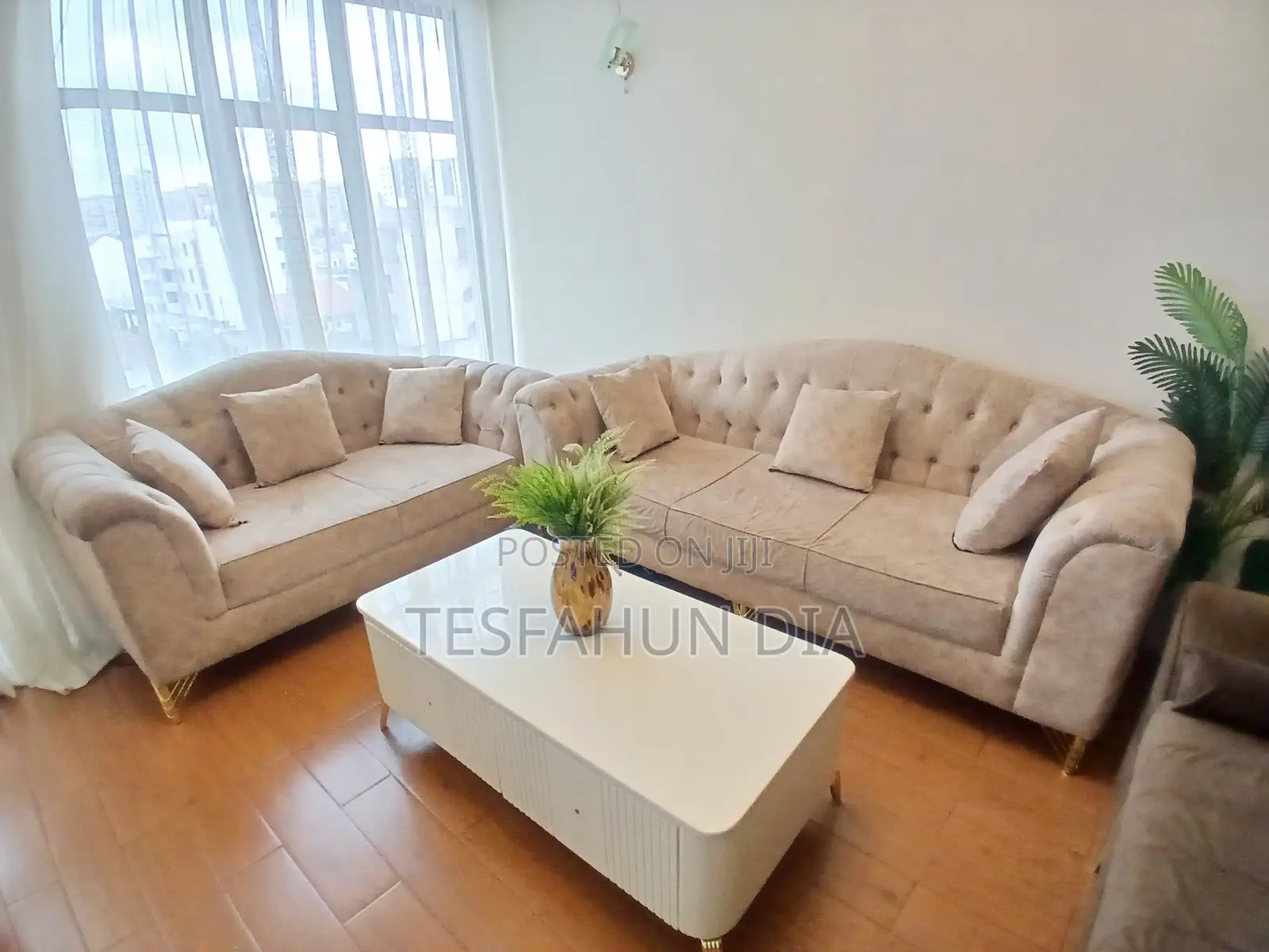 Modern Sofa