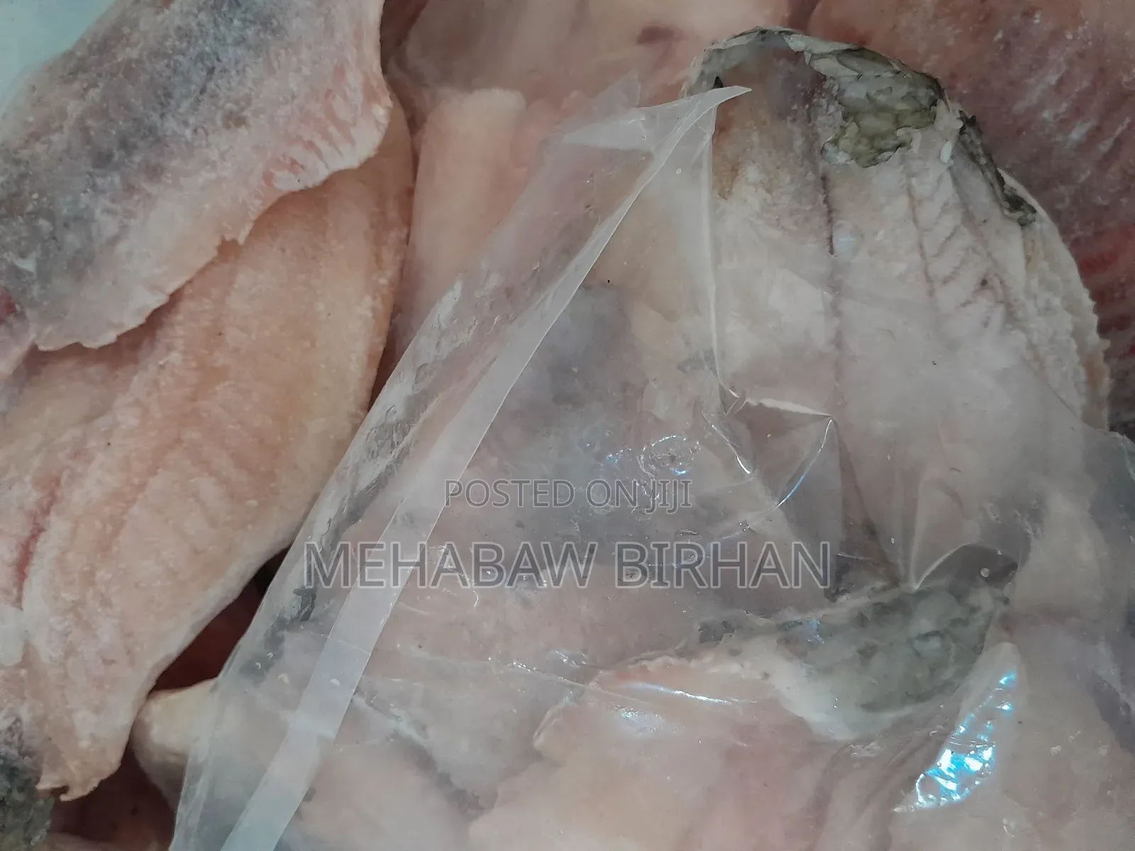 Fresh Telapia Fish