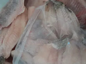 Fresh Telapia Fish