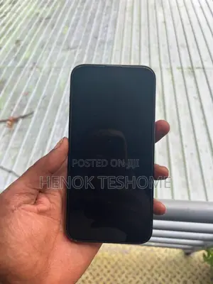 Apple iPhone 13 Pro Max 256 GB Gray