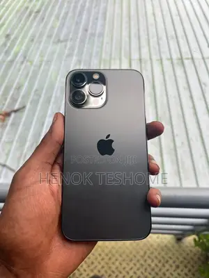 Apple iPhone 13 Pro Max 256 GB Gray