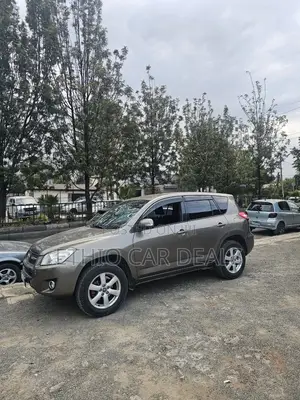 Toyota RAV4 2010 Brown
