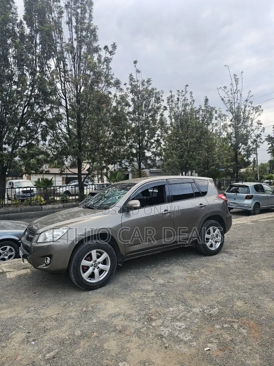 Toyota RAV4 2010 Brown
