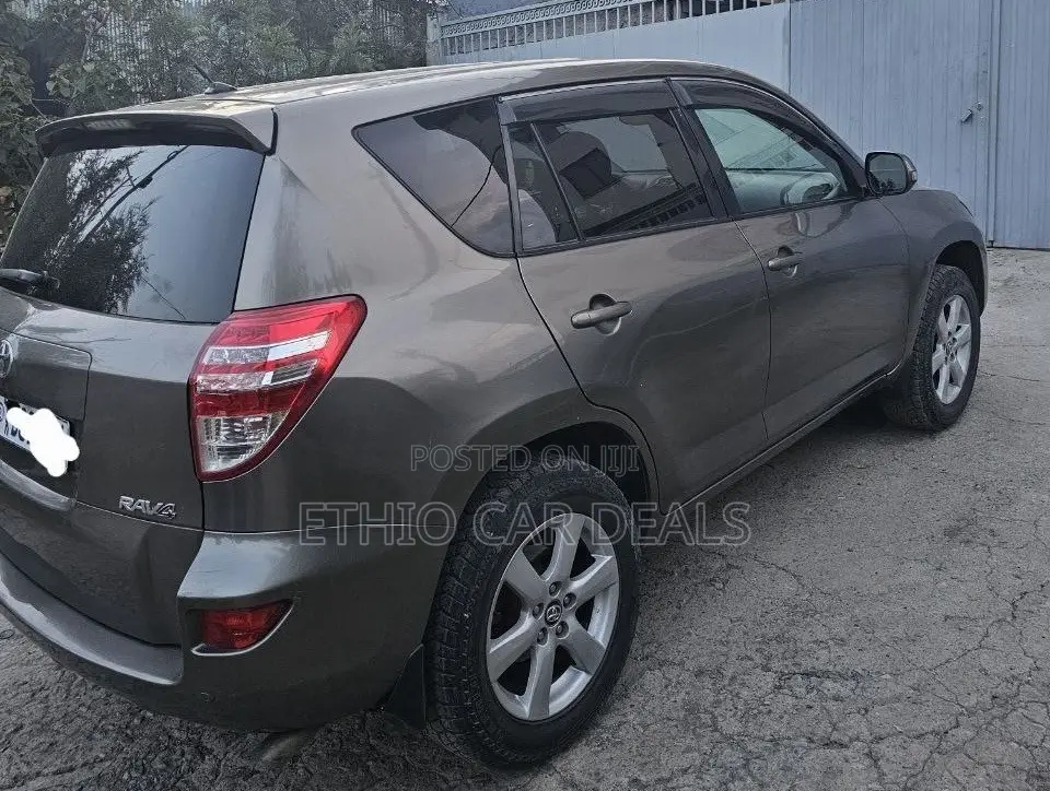 Toyota RAV4 2010 Brown
