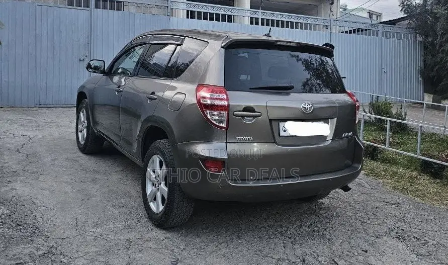 Toyota RAV4 2010 Brown