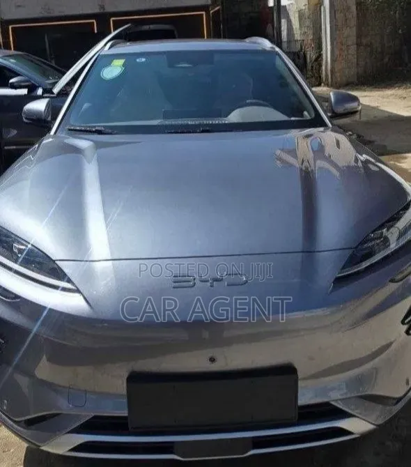 New BYD Song Plus 2024 Gray