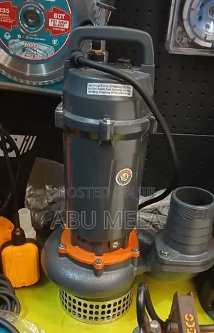 Leo Sumrsuble 2 HP Pumpe