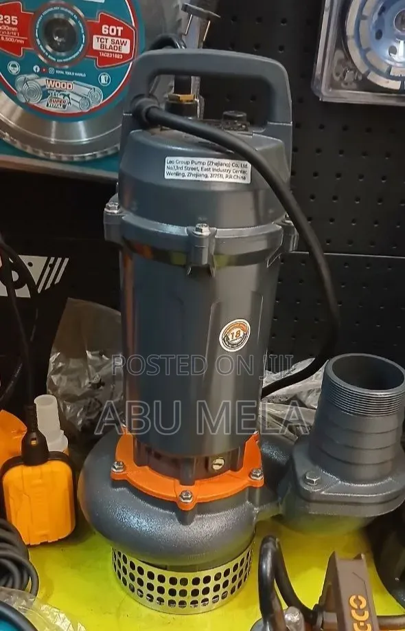 Leo Sumrsuble 2 HP Pumpe