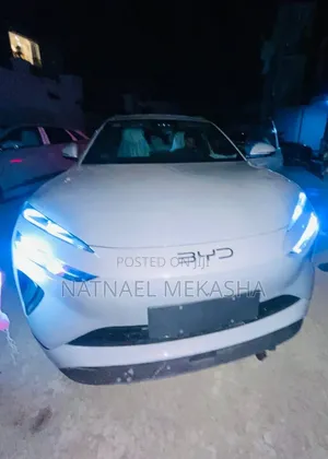 New BYD Sealion 06 DM-i 2025